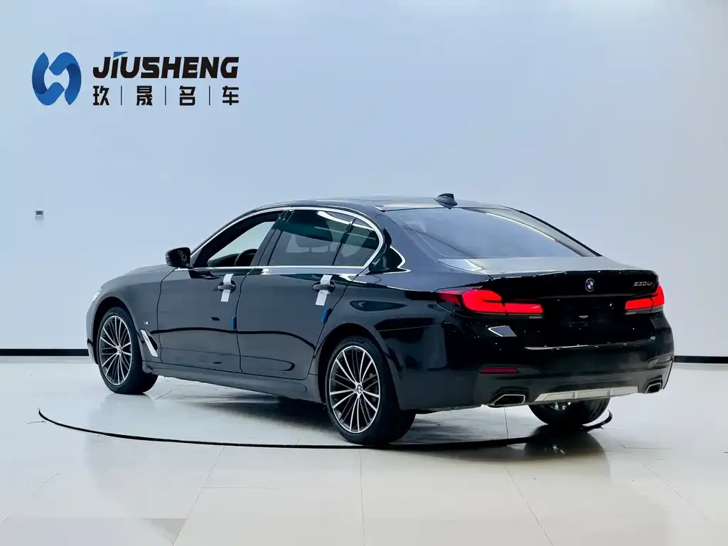 BMW 5 Series 2023 из CN, фото 3