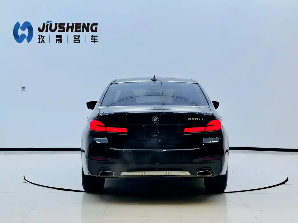 BMW 5 Series 2023 из CN, фото 7