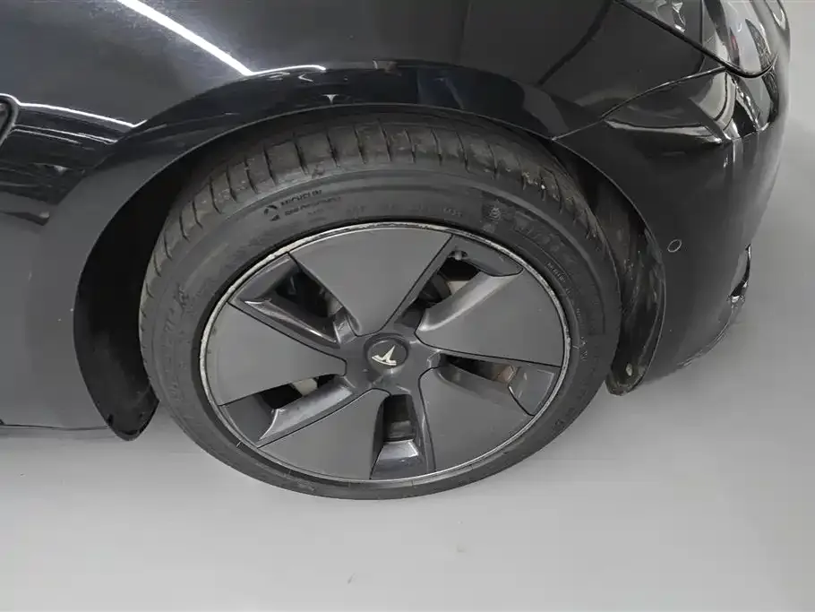 Tesla Model 3 2023 из CN, фото 2