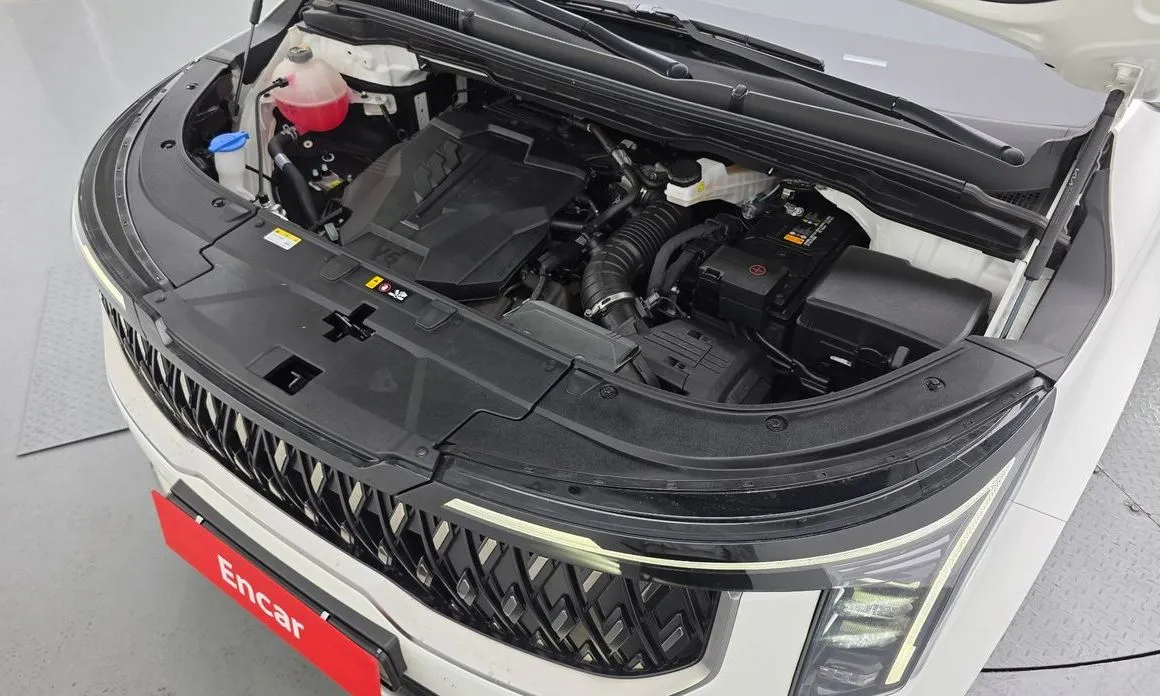 Kia Carnival — фото 10