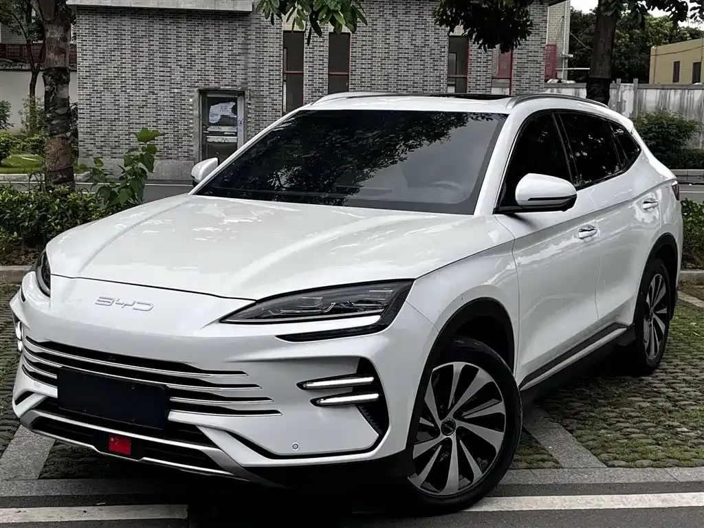 BYD PLUS New Energy — фото 1