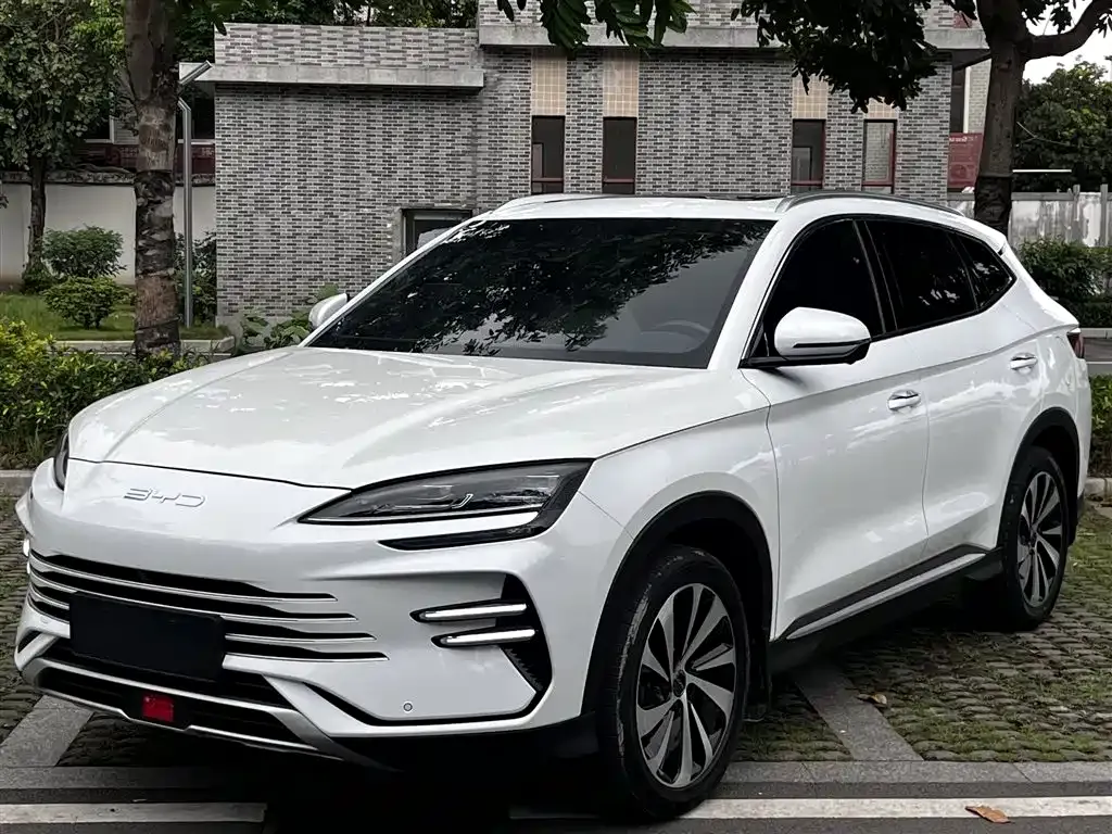 BYD PLUS New Energy — фото 9