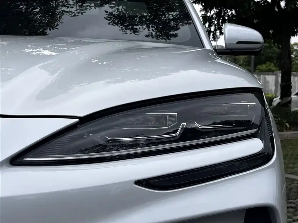 BYD PLUS New Energy — фото 4