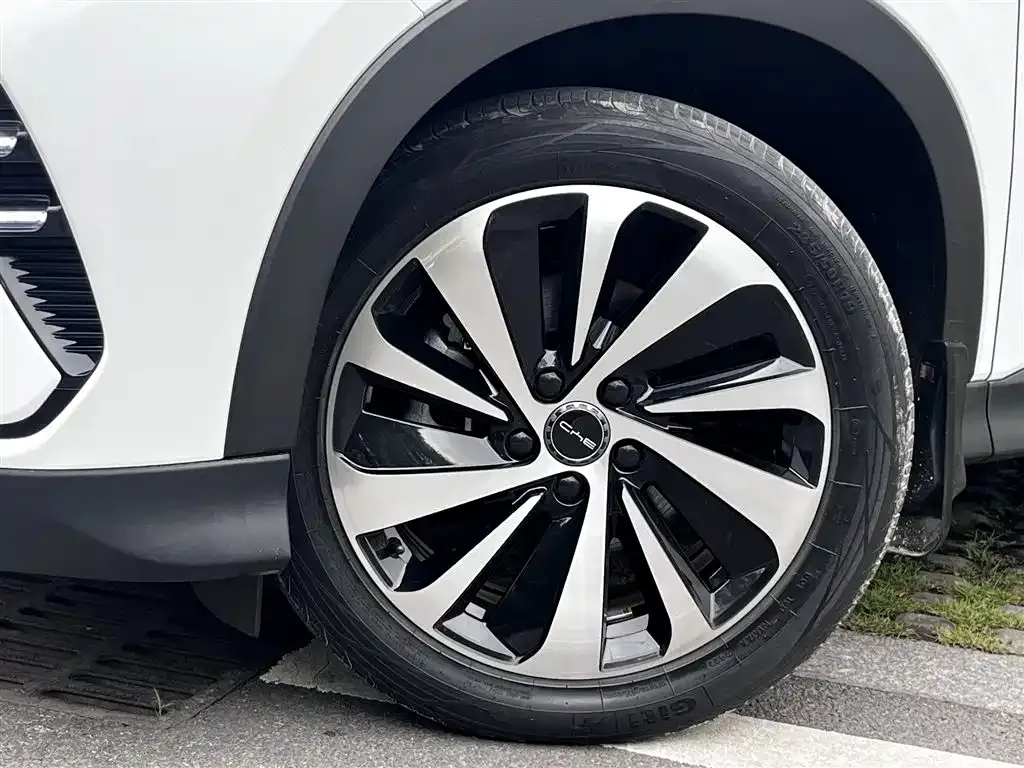 BYD PLUS New Energy — фото 6