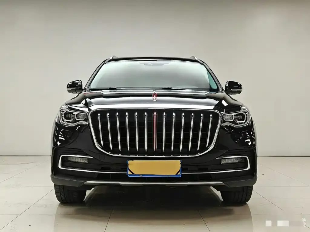 Hongqi HS7 2022 из CN, фото 2
