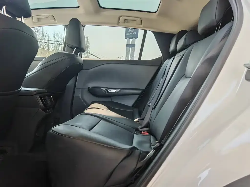 Lexus RZ 2023 из CN, фото 3