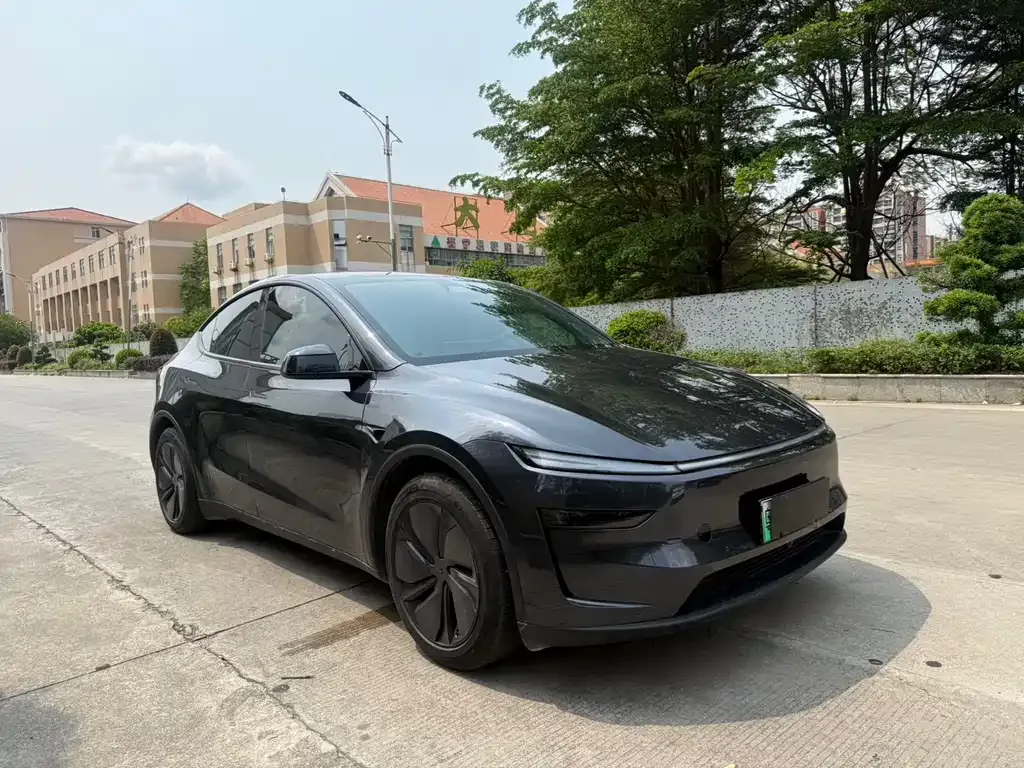 Tesla Model Y 2025 из CN, фото 4