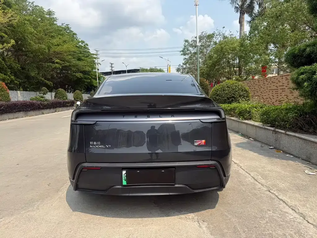 Tesla Model Y 2025 из CN, фото 10