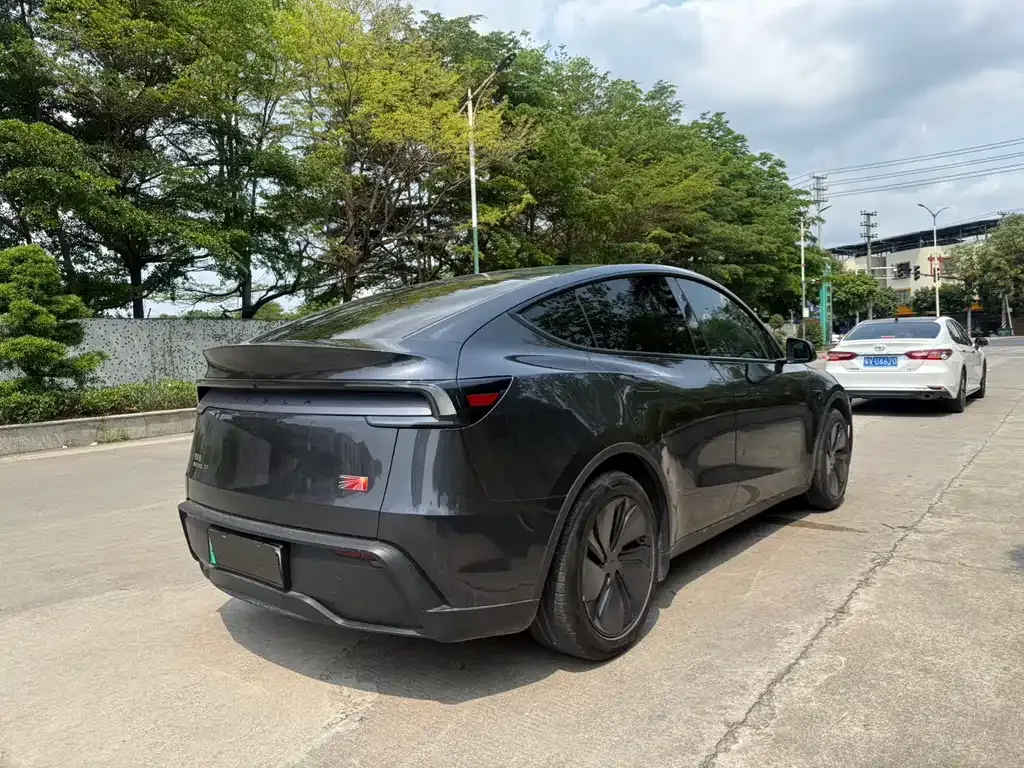 Tesla Model Y 2025 из CN, фото 6