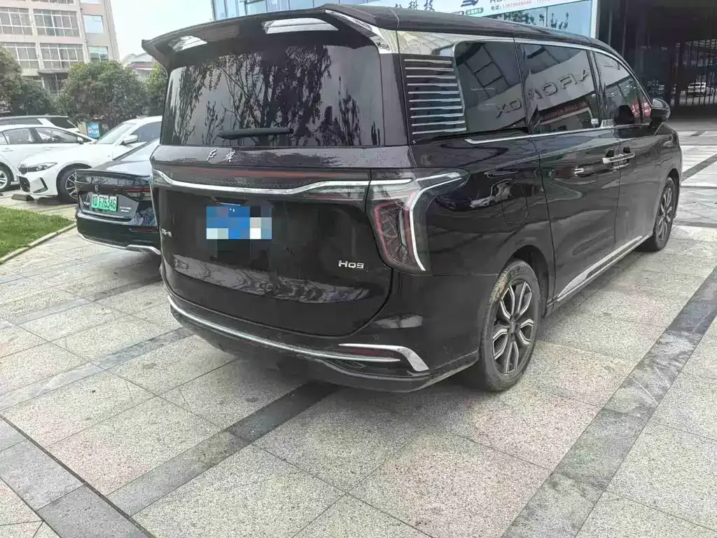 Hongqi HQ9 2023 из CN, фото 7