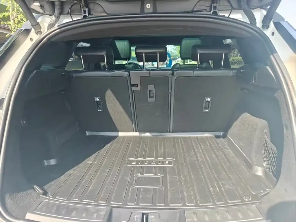 Land Rover Evoque 2021 из CN, фото 5