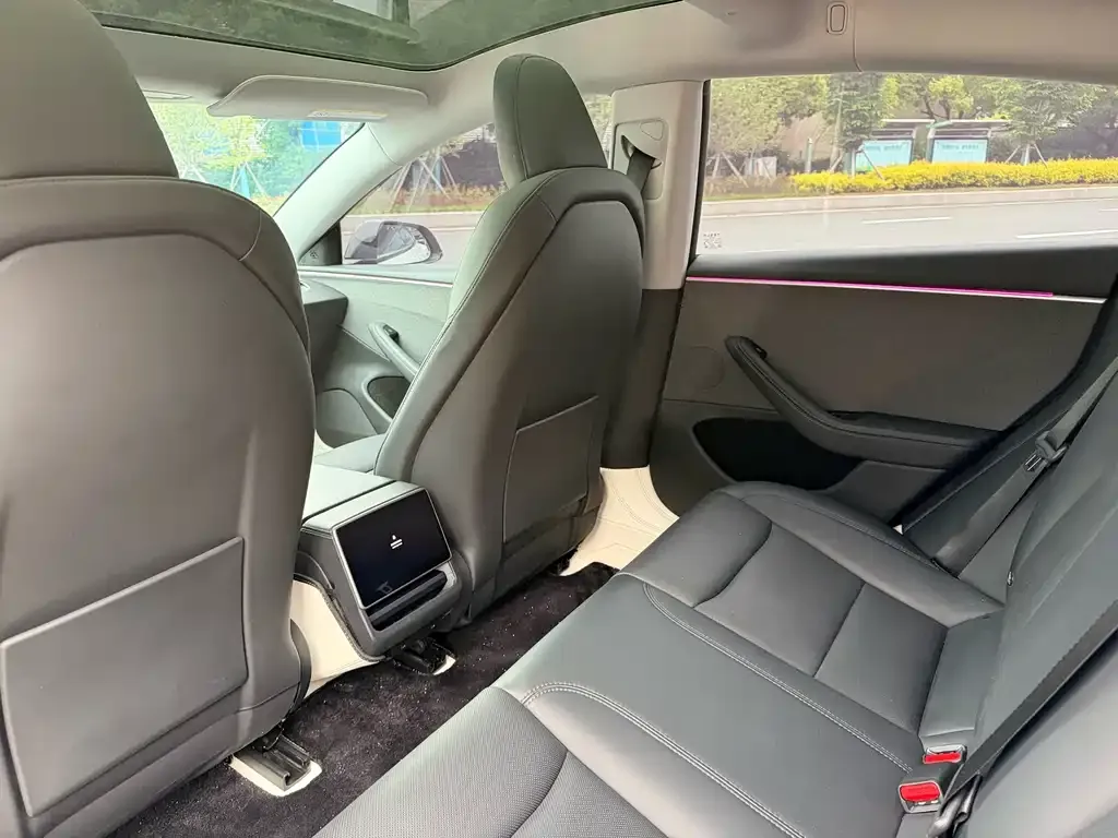 Tesla Model 3 2023 из CN, фото 4