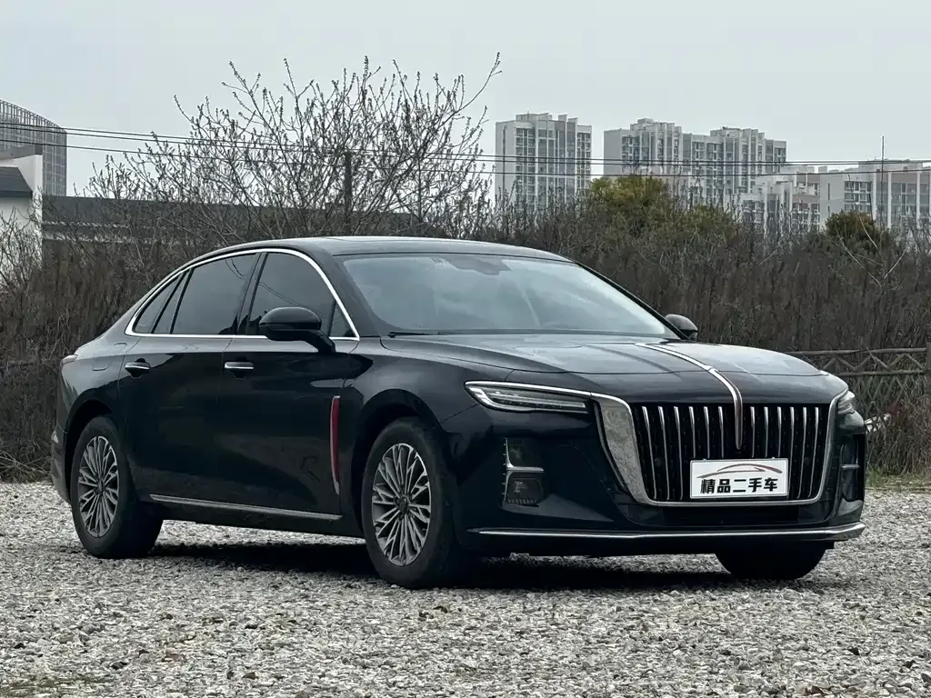Hongqi H5 2023 из CN, фото 8