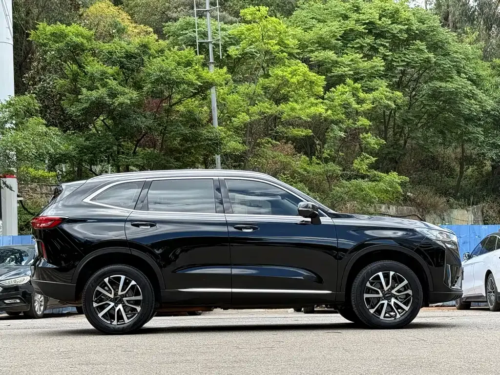 Haval H6 2023 из CN, фото 10