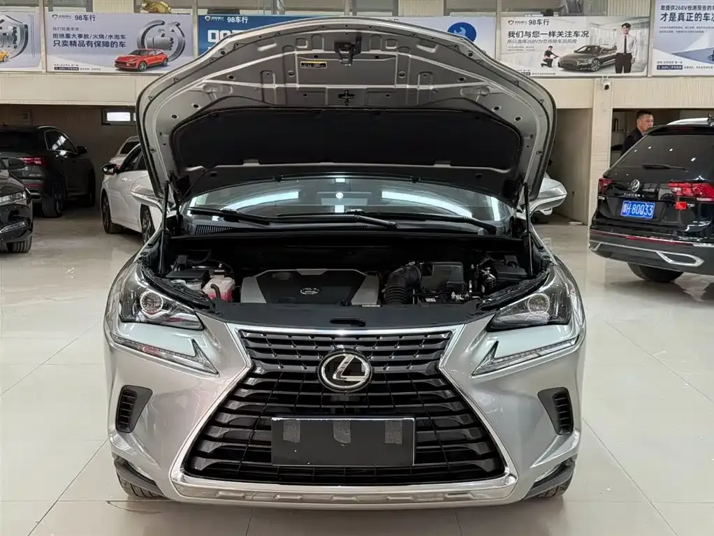 Lexus NX 2021 из CN, фото 9