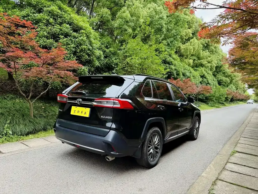 Toyota Wildlander 2023 из CN, фото 9