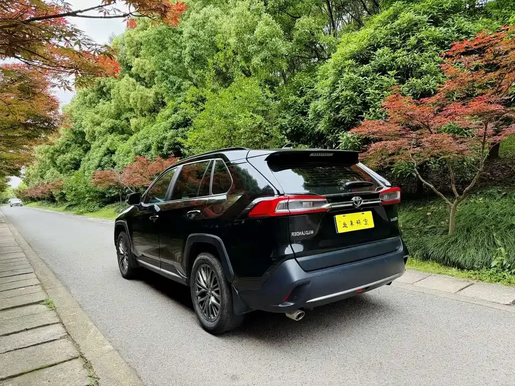 Toyota Wildlander 2023 из CN, фото 10