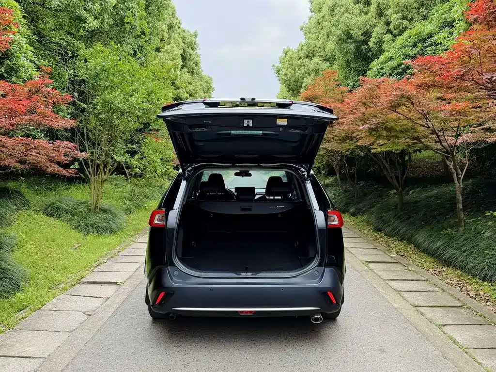 Toyota Wildlander 2023 из CN, фото 5