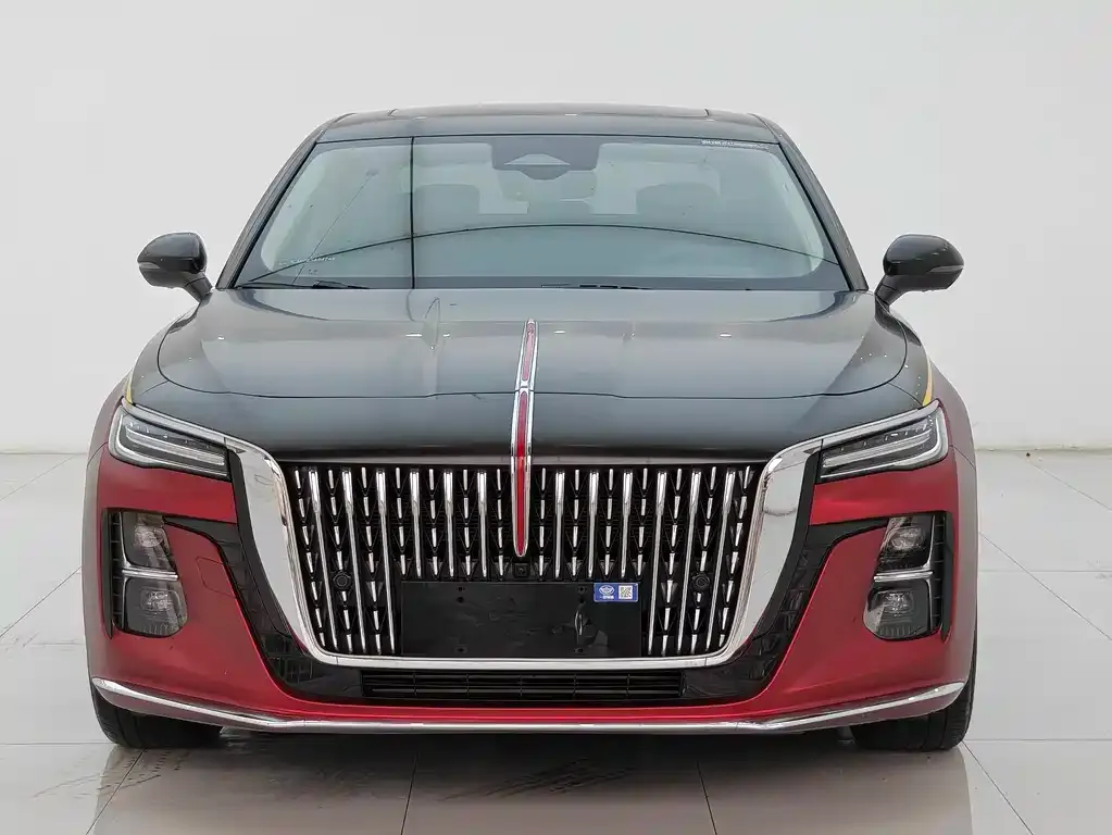 Hongqi H5 2023 из CN, фото 3