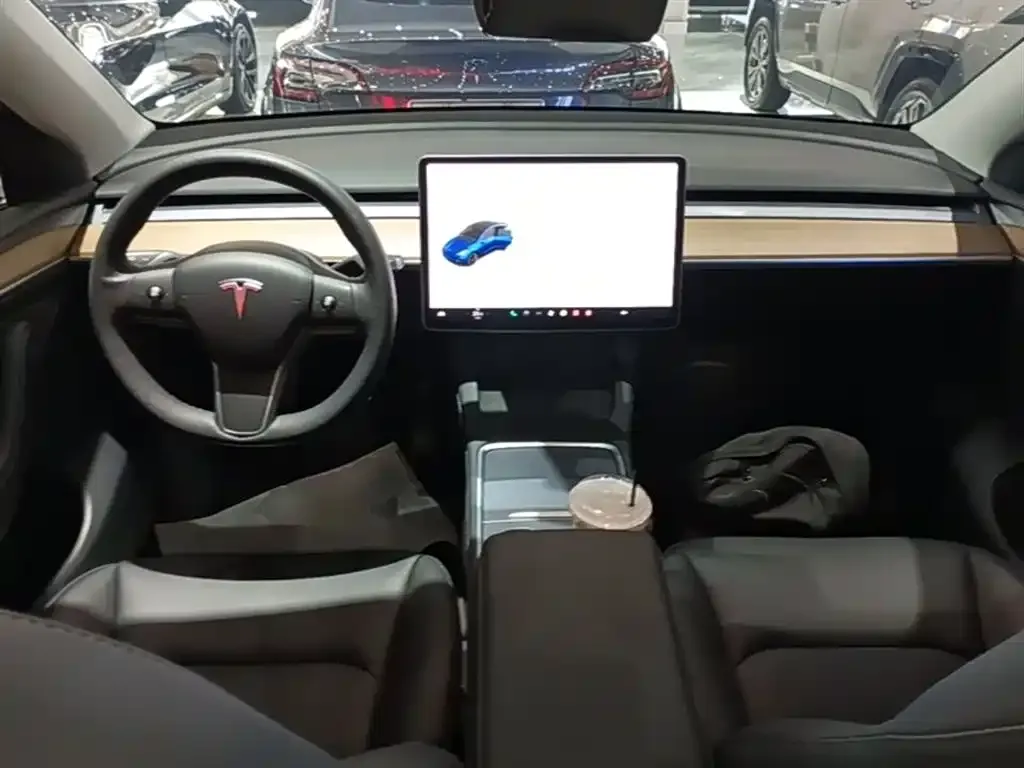 Tesla Model Y — фото 9