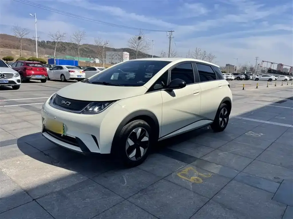 BYD Dolphin 2025 из CN, фото 3
