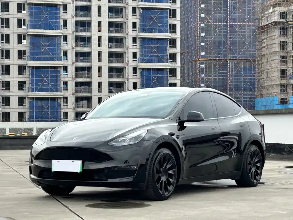 Tesla Model Y 2021 из CN, фото 1