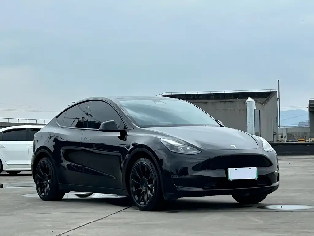 Tesla Model Y 2021 из CN, фото 3