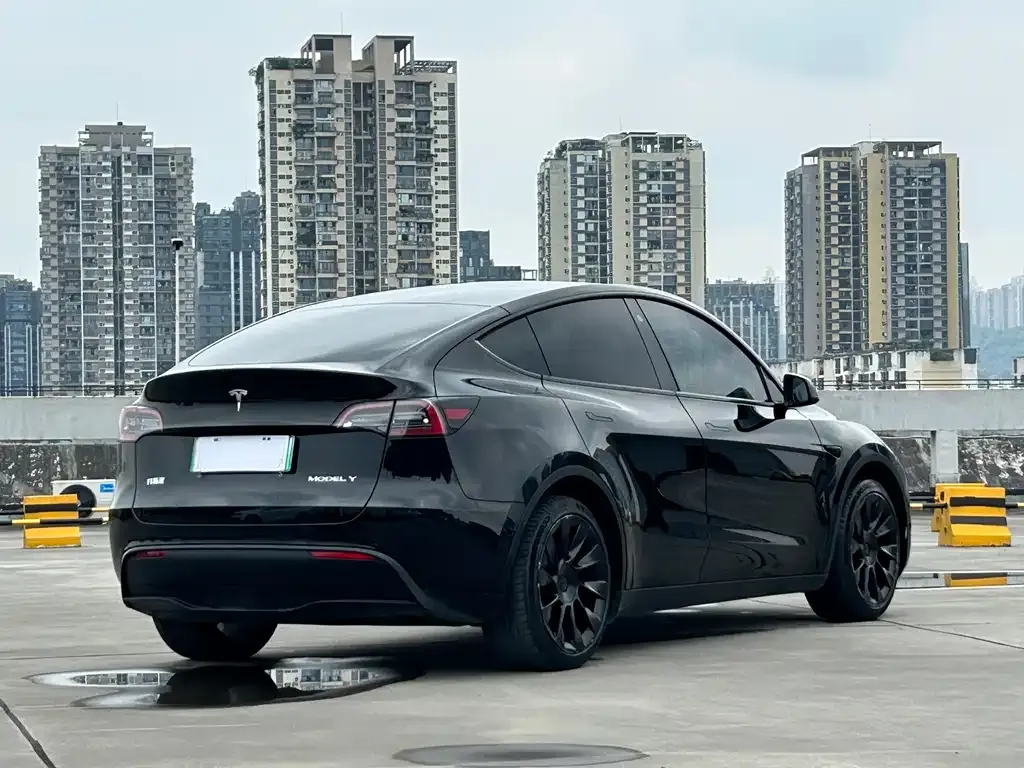 Tesla Model Y 2021 из CN, фото 4