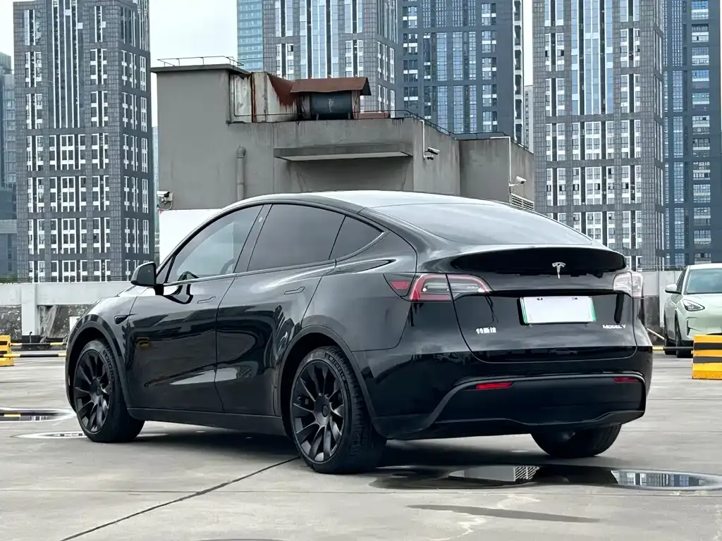 Tesla Model Y 2021 из CN, фото 8