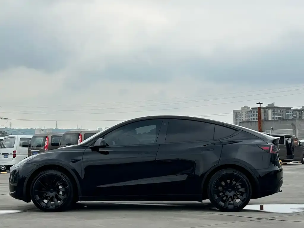 Tesla Model Y 2021 из CN, фото 2