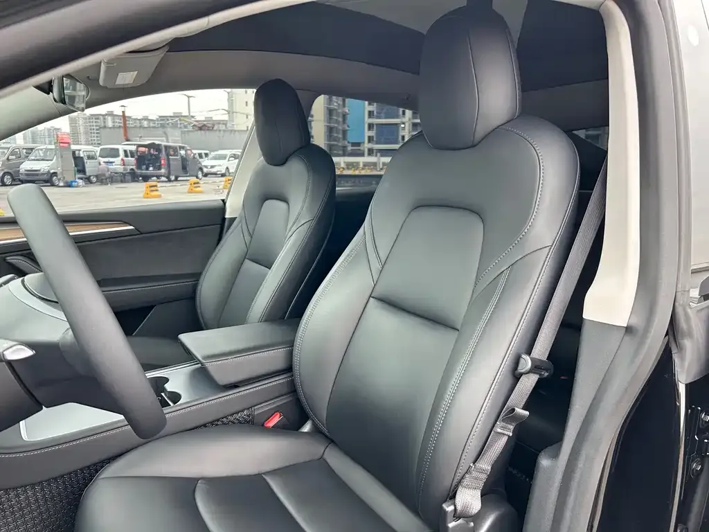 Tesla Model Y 2021 из CN, фото 6