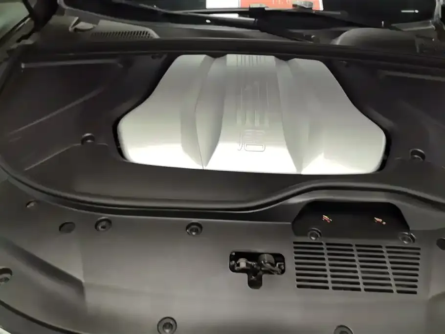 BYD Tang New Energy 2024 из CN, фото 7