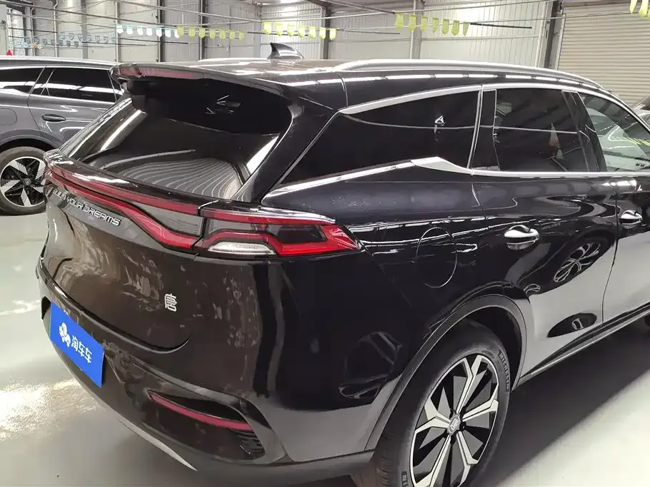 BYD Tang New Energy 2024 из CN, фото 10
