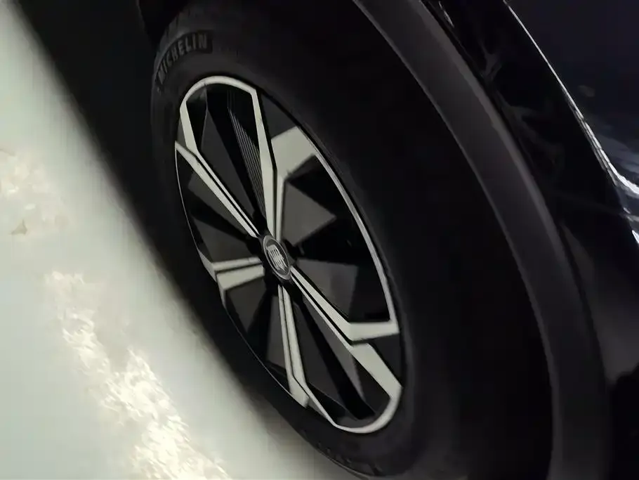 BYD Tang New Energy 2024 из CN, фото 6