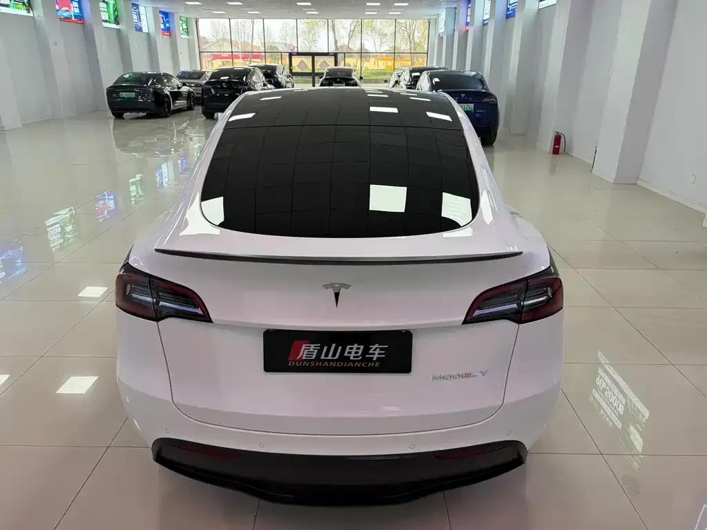 Tesla Model Y — фото 3