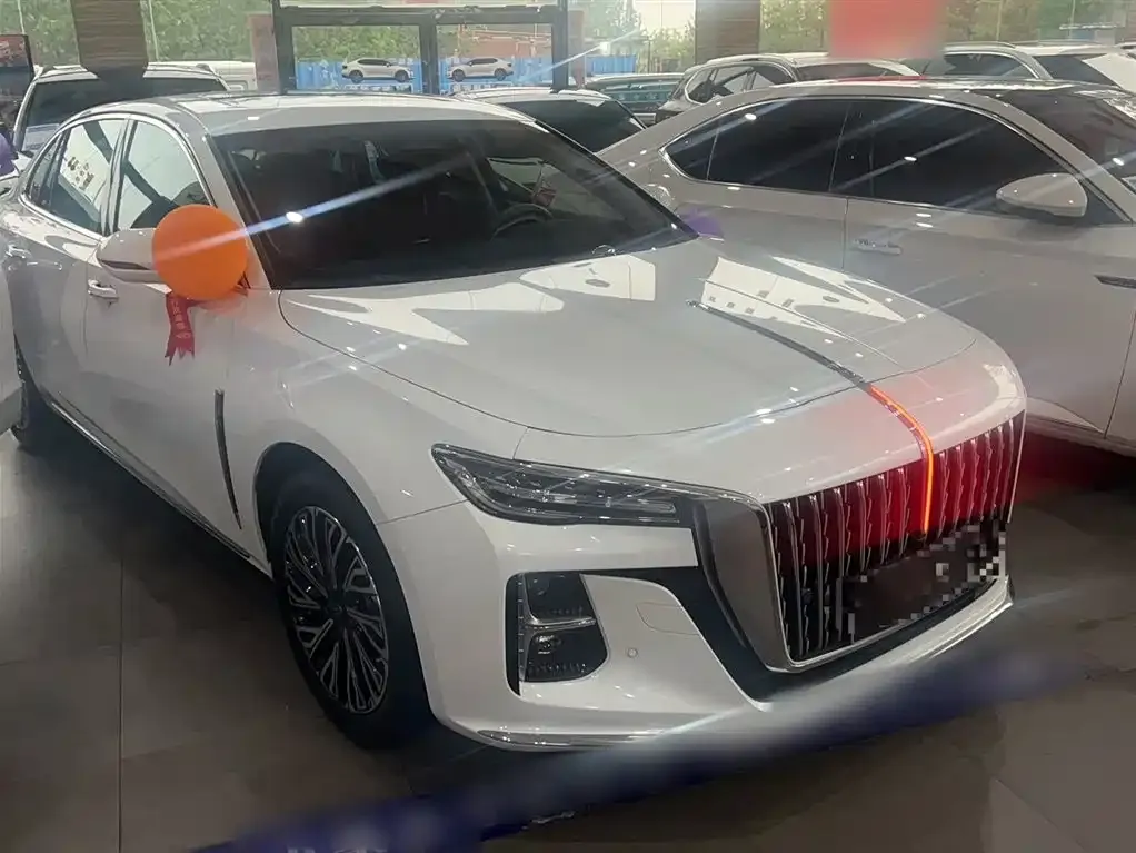 Hongqi H5 2023 из CN, фото 5