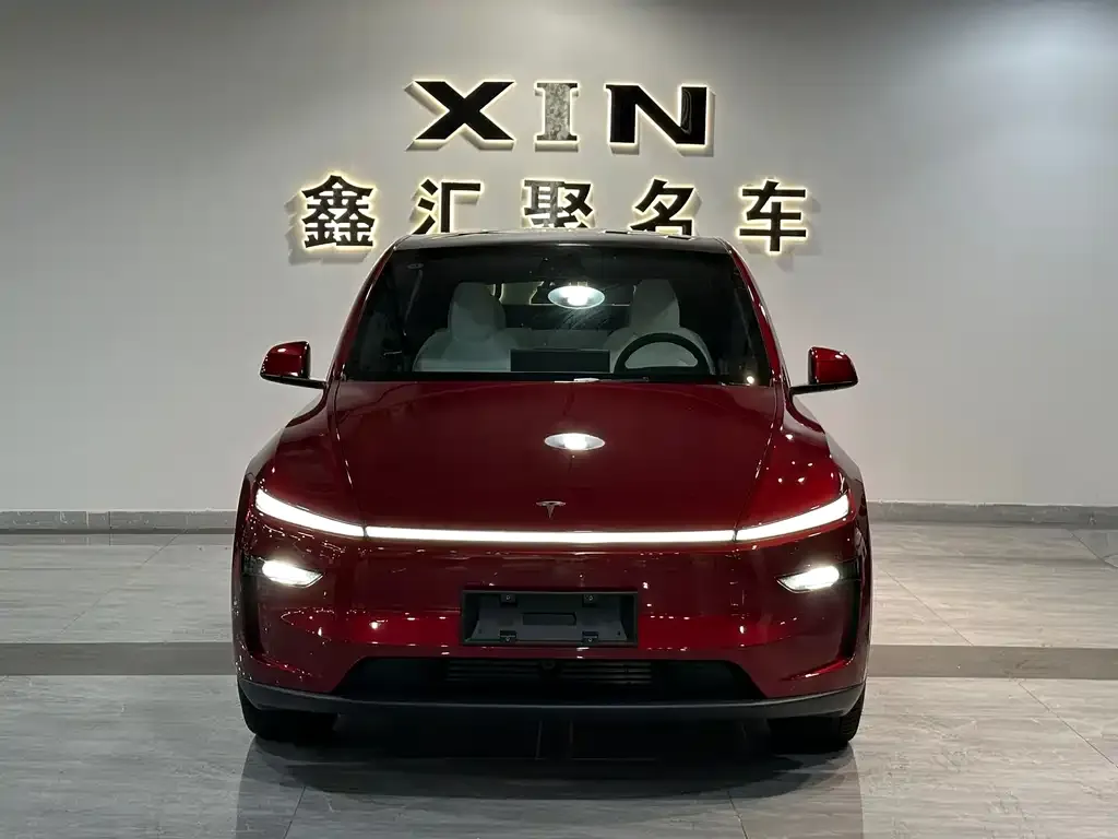 Tesla Model Y 2026 из CN, фото 8