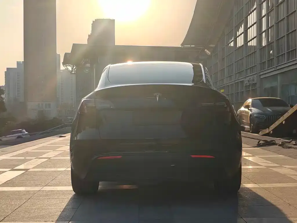 Tesla Model Y — фото 3