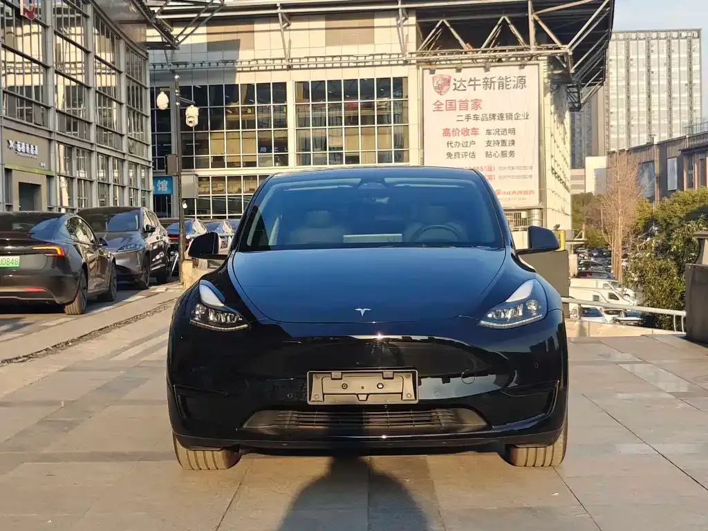 Tesla Model Y — фото 6