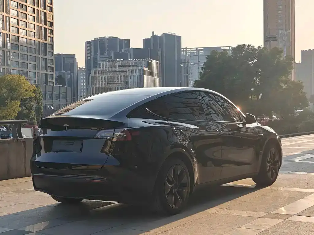 Tesla Model Y — фото 10
