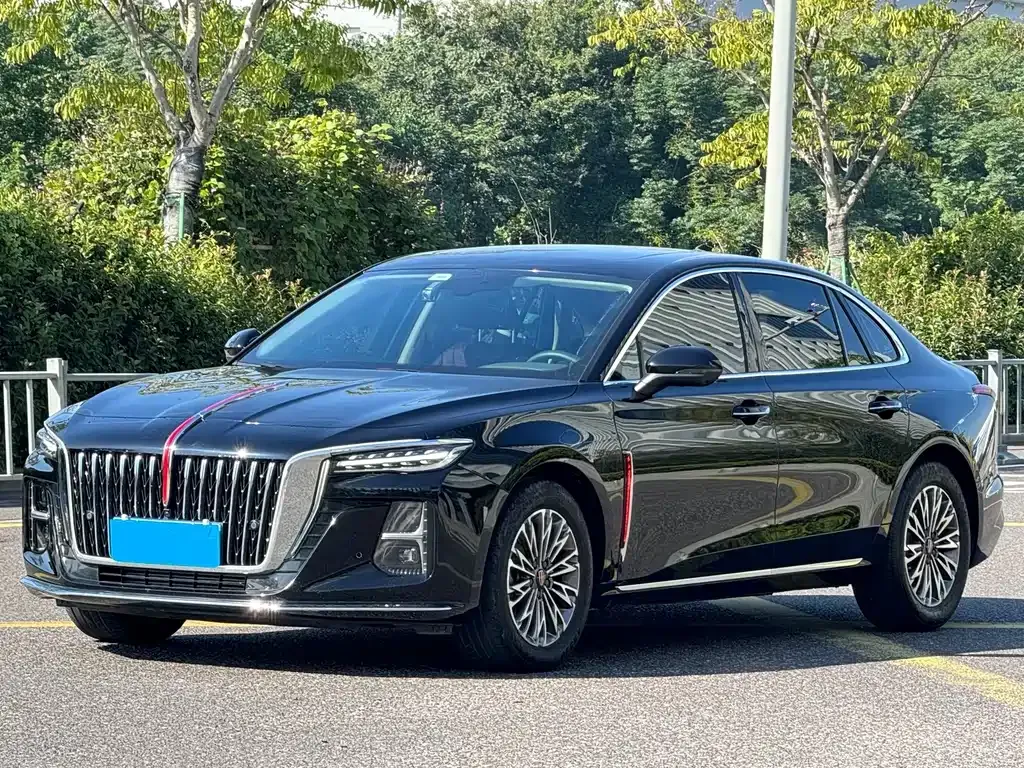 Hongqi H5 2024 из CN, фото 1