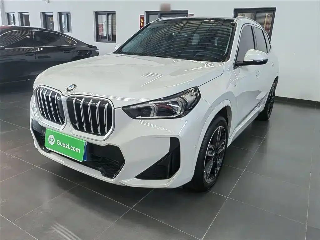 BMW X1 — фото 10