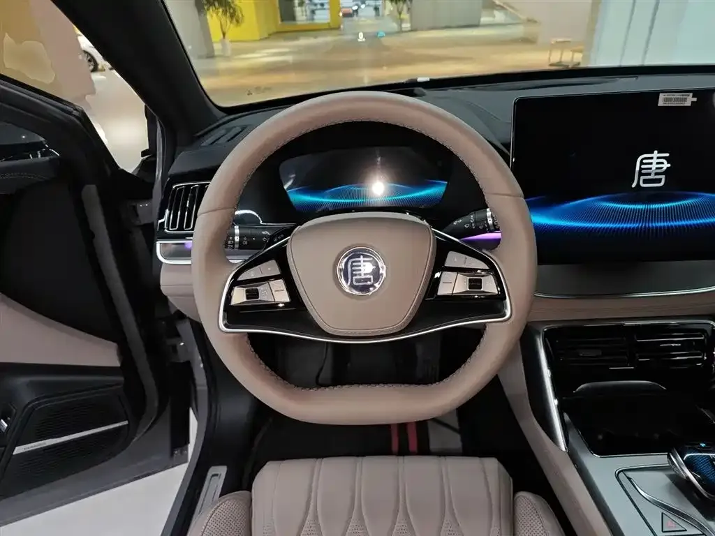 BYD Tang New Energy 2025 из CN, фото 6