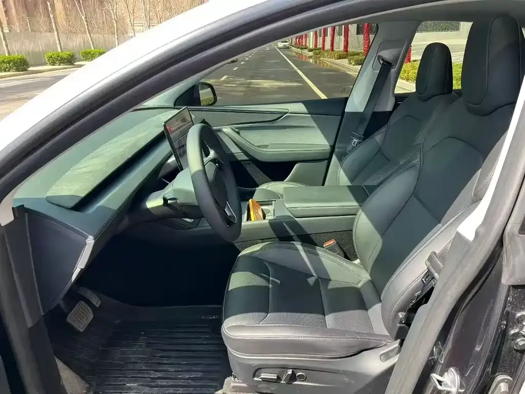 Tesla Model Y — фото 9