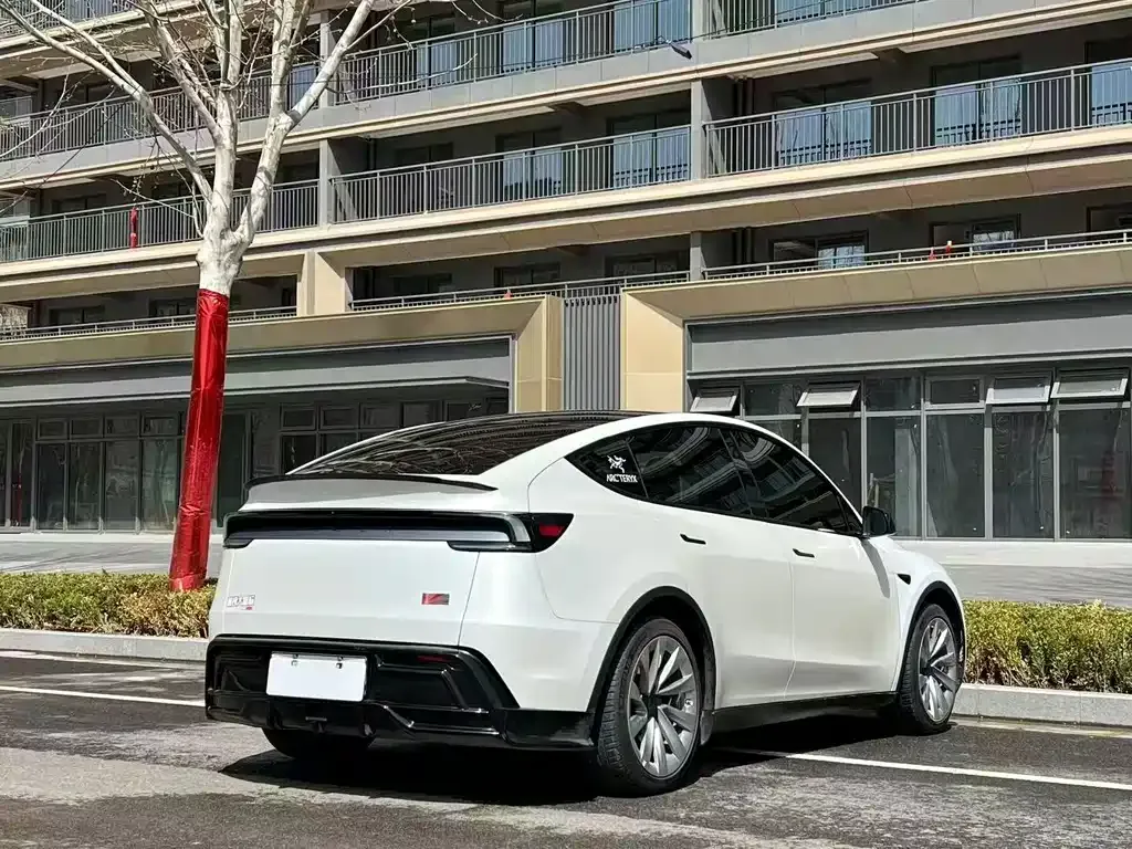 Tesla Model Y — фото 4