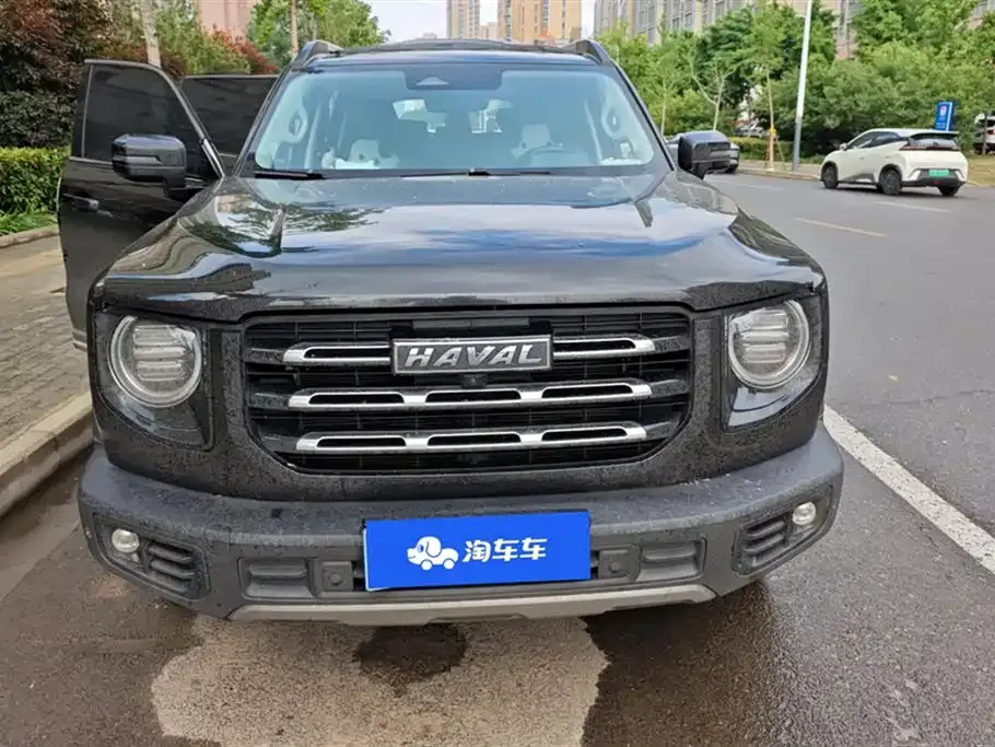 Haval Big Dog 2021 из CN, фото 4