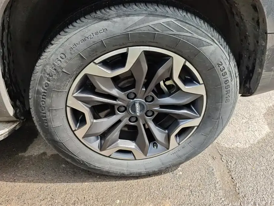 Haval Big Dog 2021 из CN, фото 10