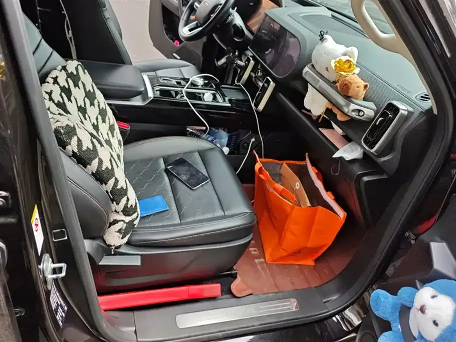 Haval Big Dog 2021 из CN, фото 3