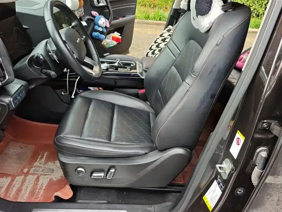 Haval Big Dog 2021 из CN, фото 5