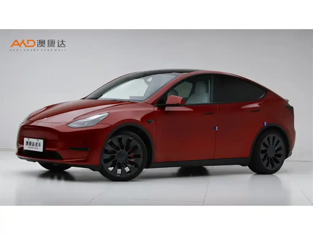 Tesla Model Y 2021 из CN, фото 1
